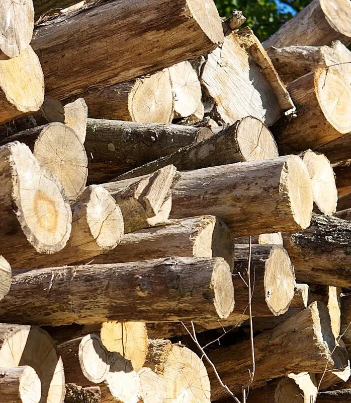 Firewood for Sale in Northern Ireland