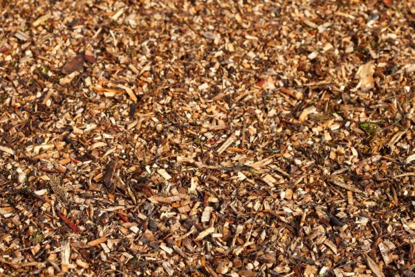 Wood Chips for Sale in Northern Ireland